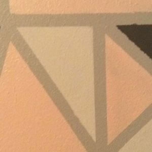 Meet your Posher, Shealyn